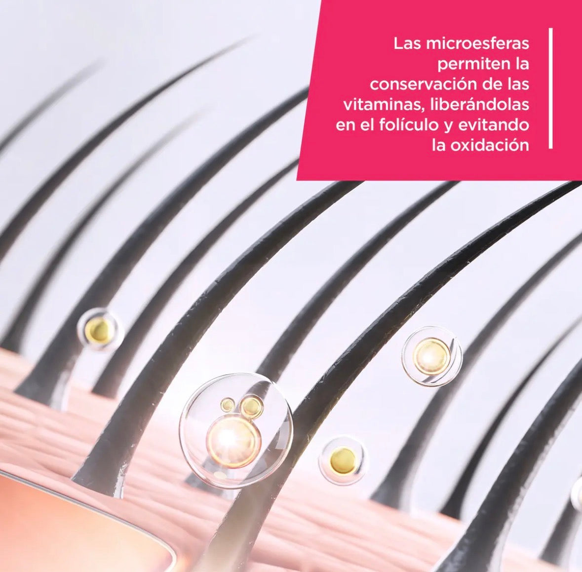 Aminoter Max Shampoo 300 Ml Protección Y Reparación Capilar